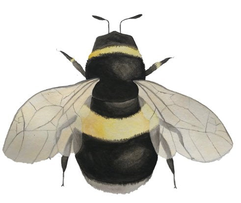Original Artwork - Bee