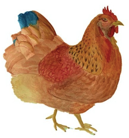 Original Artwork - Chicken