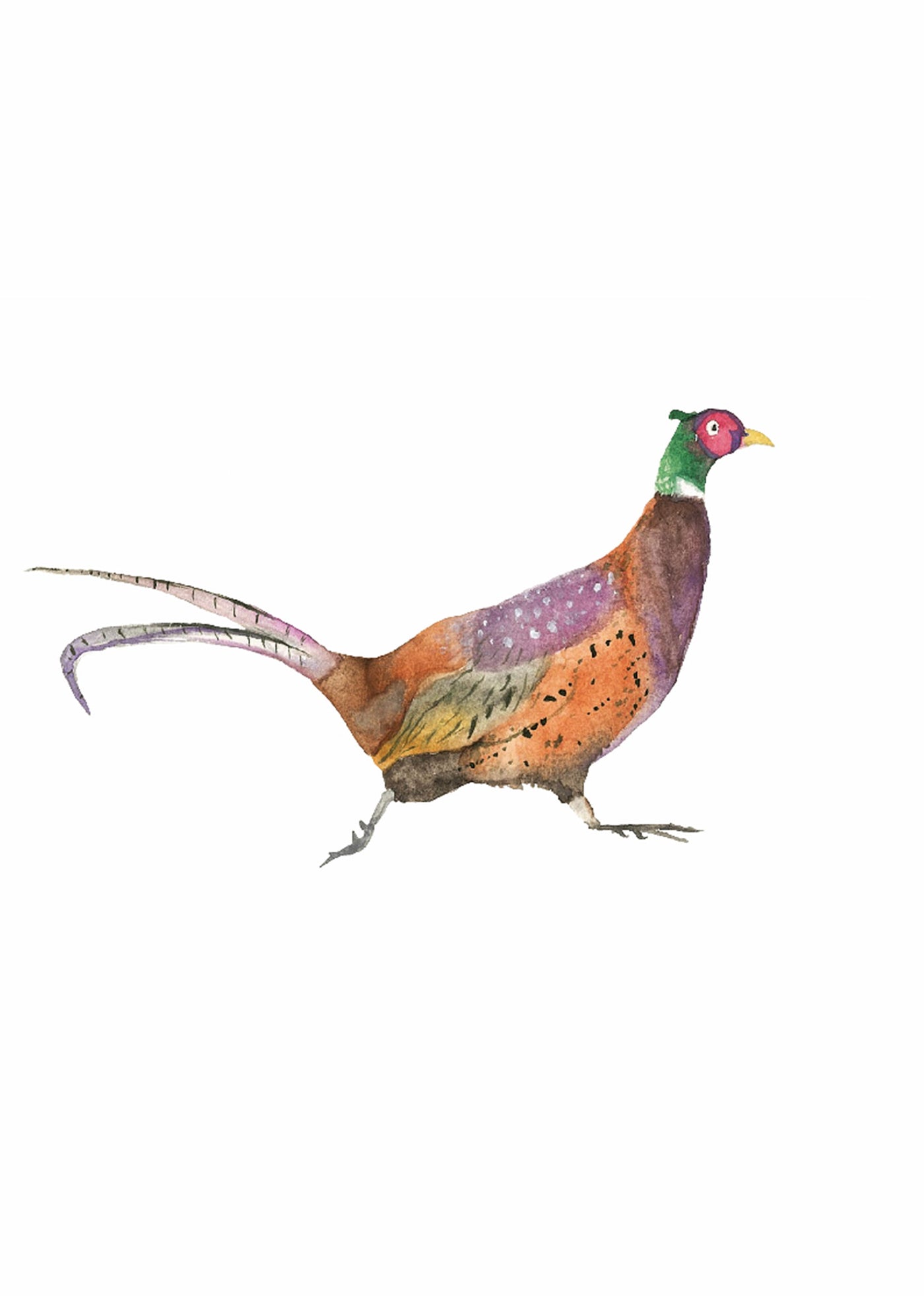 Original Artwork - Pheasant