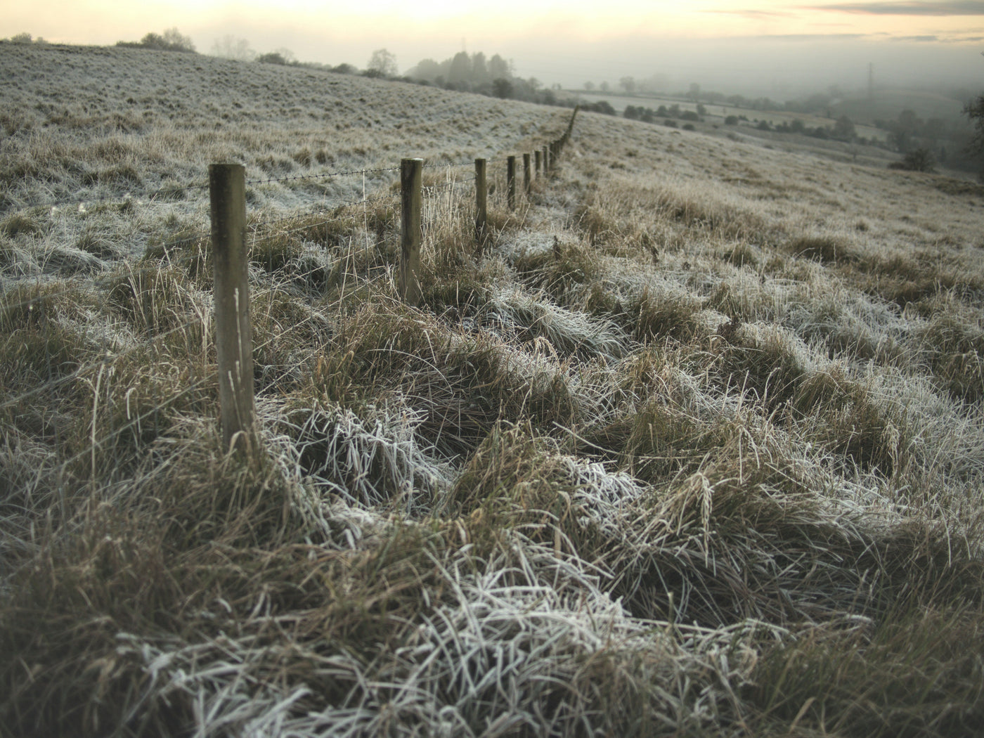 Seasonal Reflections