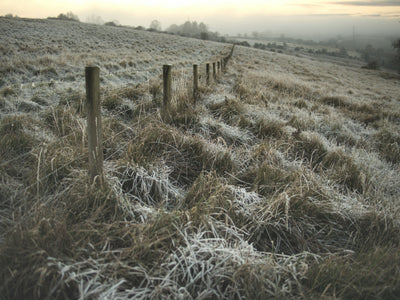 Seasonal Reflections