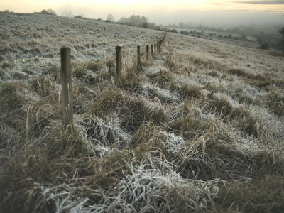 SEASONAL REFLECTIONS