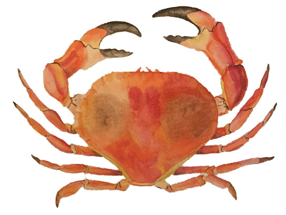 Original Artwork - Crab
