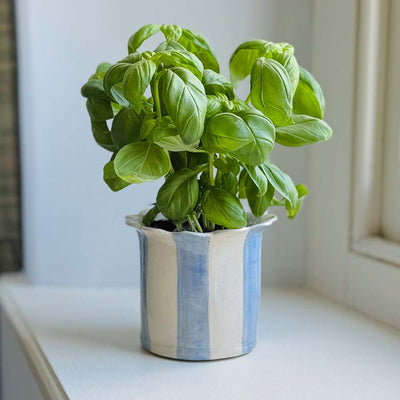 Stripy Planter - Blue