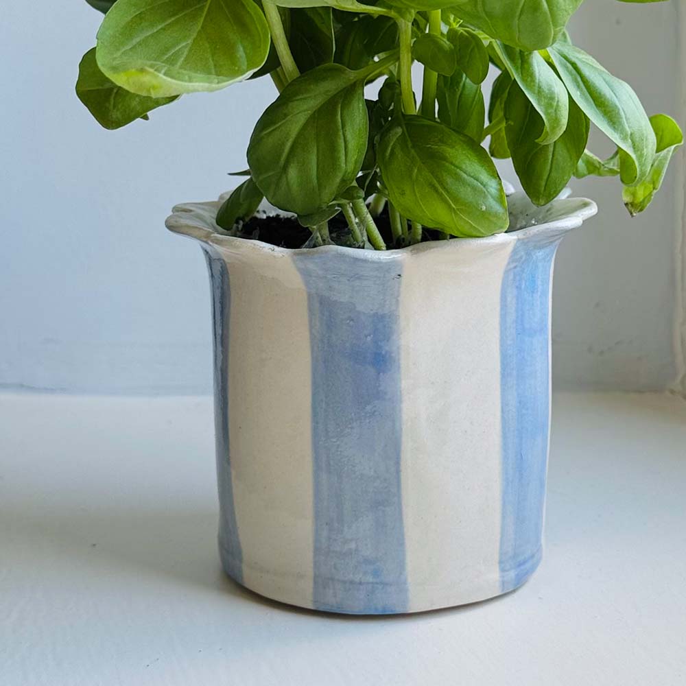 Stripy Planter - Blue