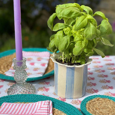 Stripy Planter - Blue