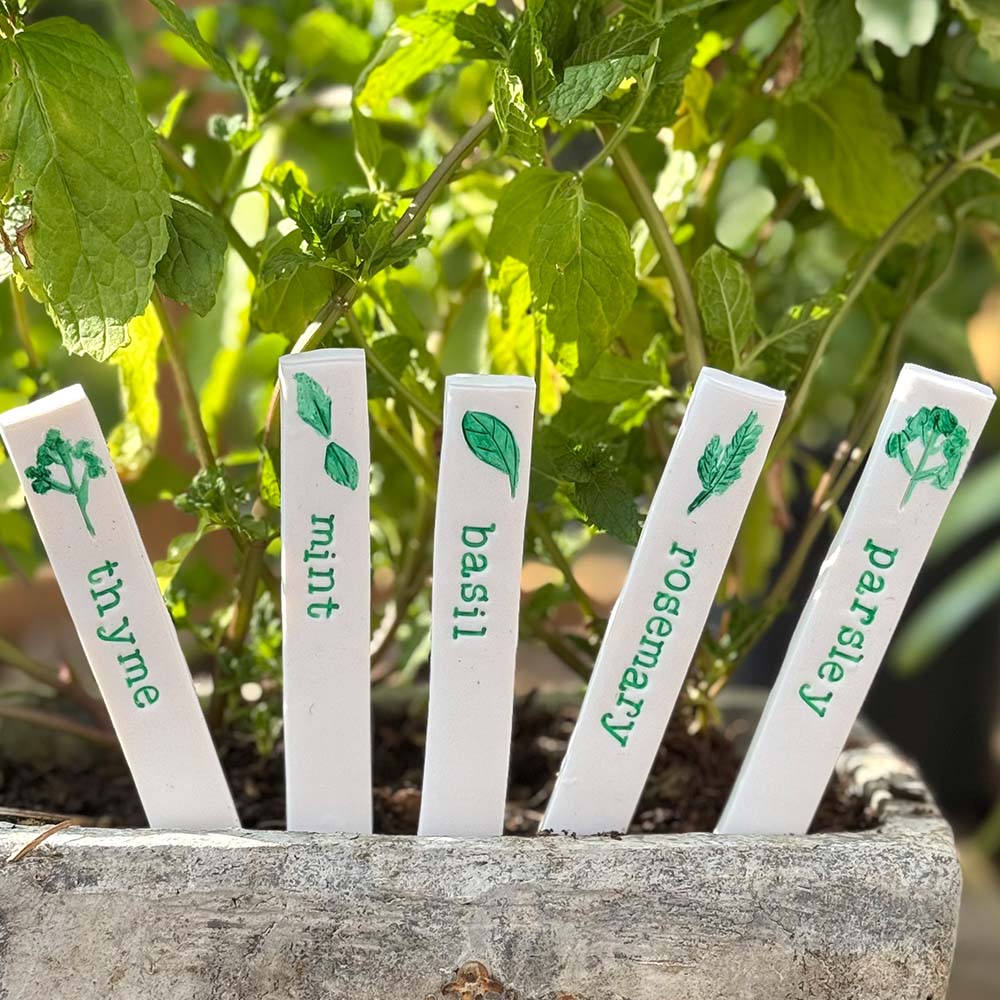 Plant Markers - Herb Bundle (set of 5)