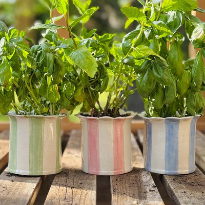 Stripy Planter - Blue