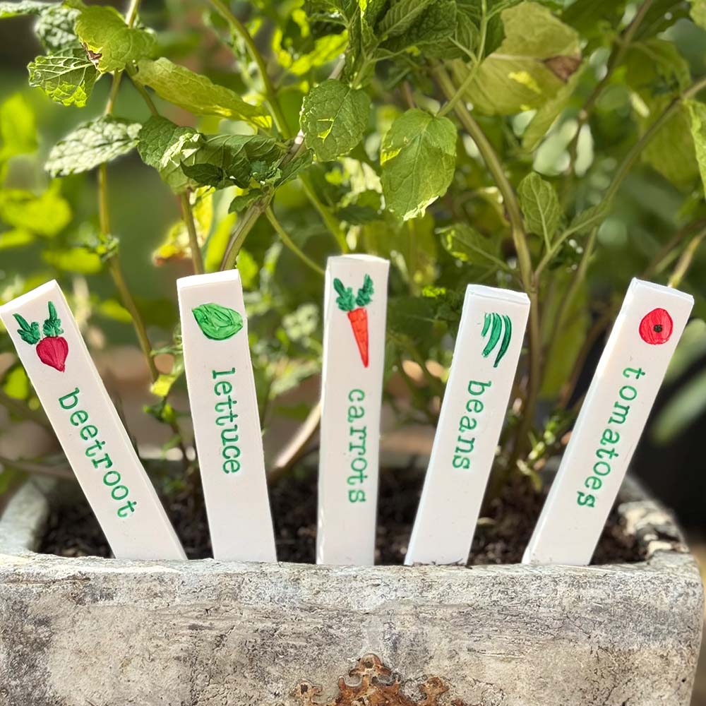 Plant Markers - Vegetable Bundle (set of 5)
