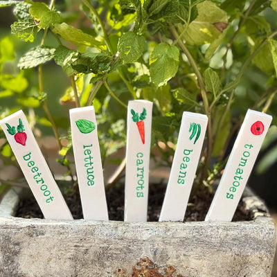Plant Markers - Vegetable Bundle (set of 5)